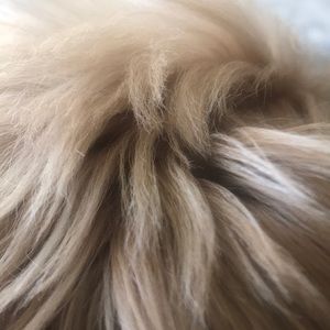 Meet your Posher, Renae